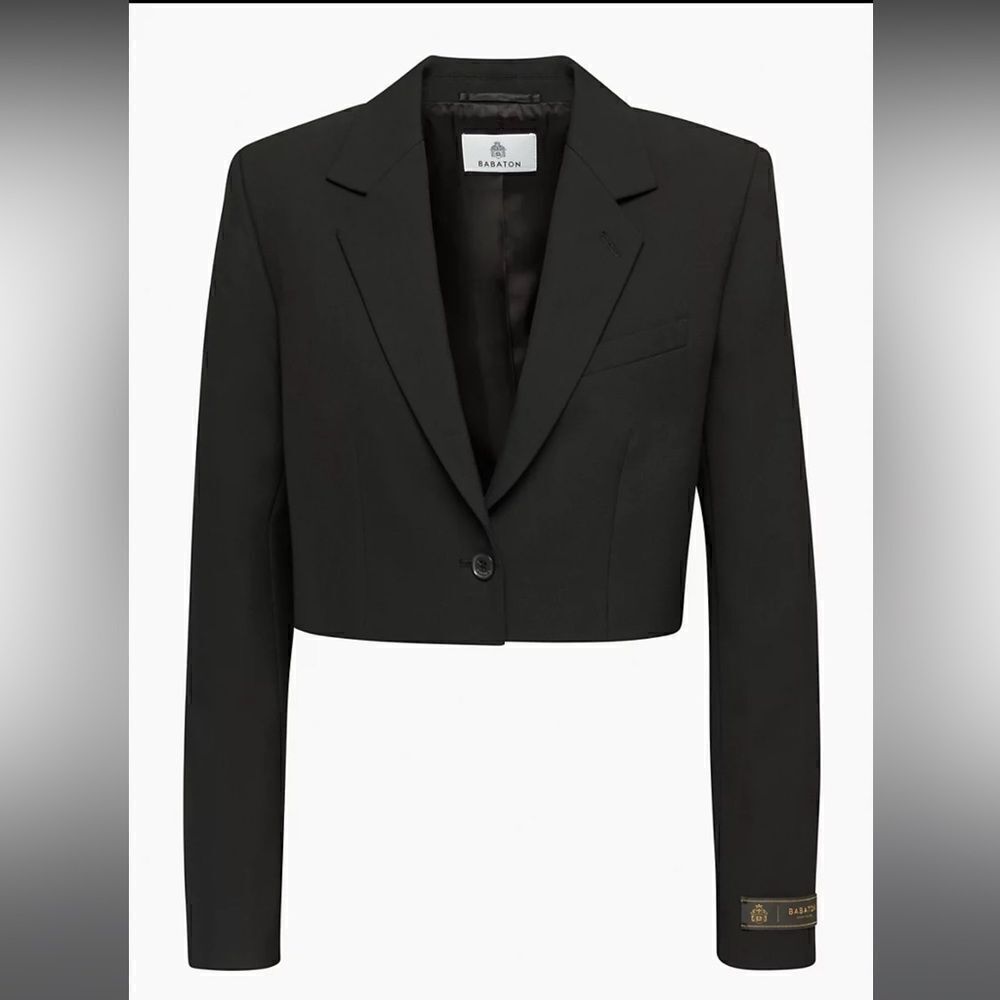 Babaton
Arbus Blazer 